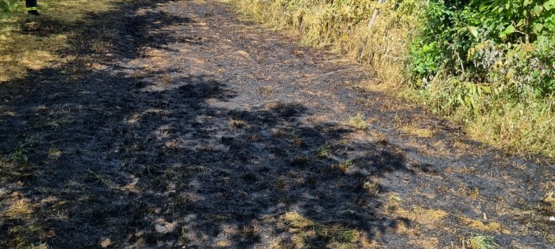 Flächenbrand 50qm
