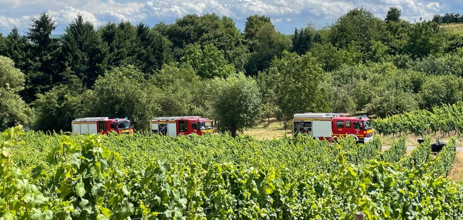 Flächenbrand 50qm