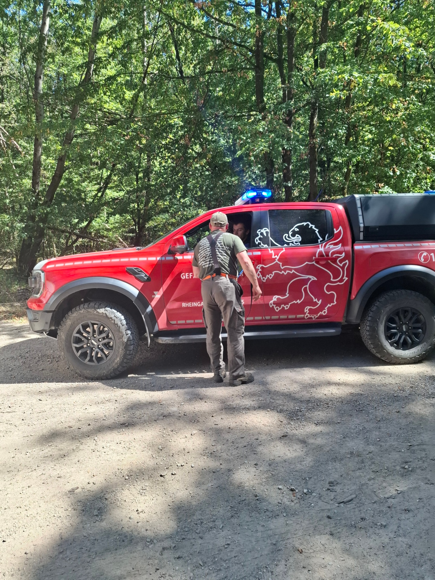 Feuer im Wald