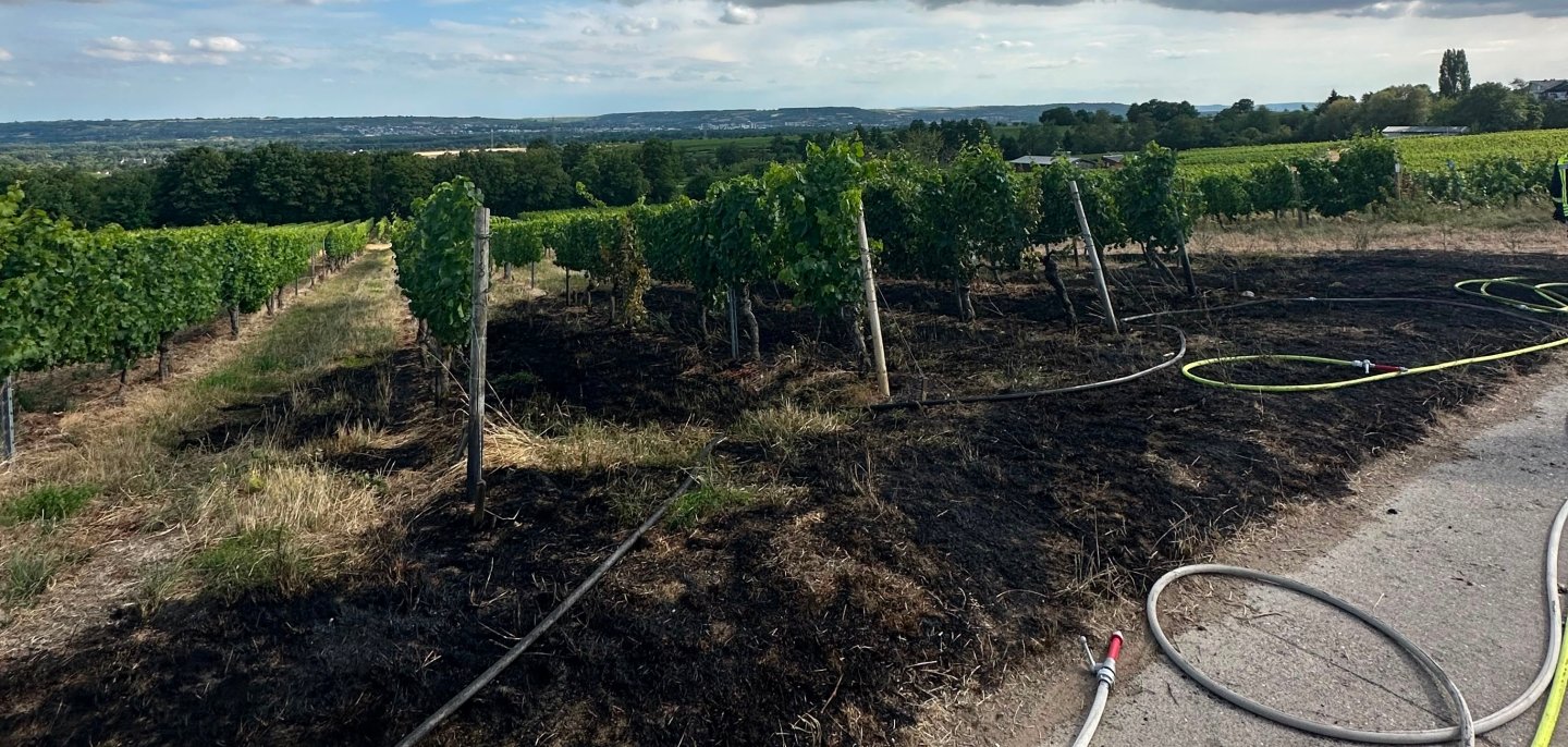 Brand in Weinbergslage Jungfer