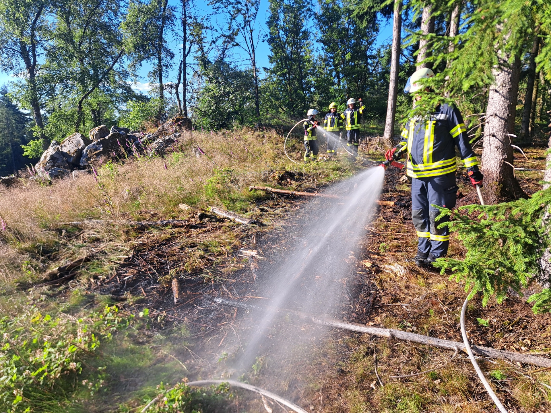 Flächenbrand am Grauen Stein im Wald von Oestrich-Winkel