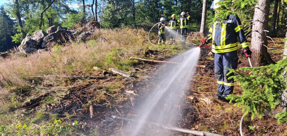 Flächenbrand am Grauen Stein im Wald von Oestrich-Winkel Flächenbrand am Grauen Stein im Wald von Oestrich-Winkel