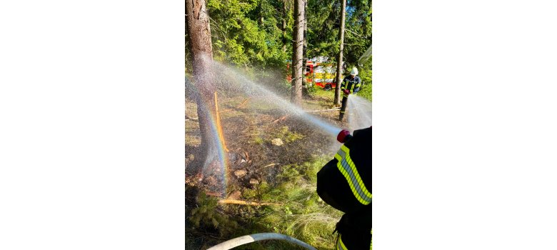 Flächenbrand am Grauen Stein im Wald von Oestrich-Winkel Flächenbrand am Grauen Stein im Wald von Oestrich-Winkel