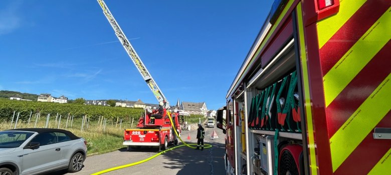 Vegetationsbrandübung